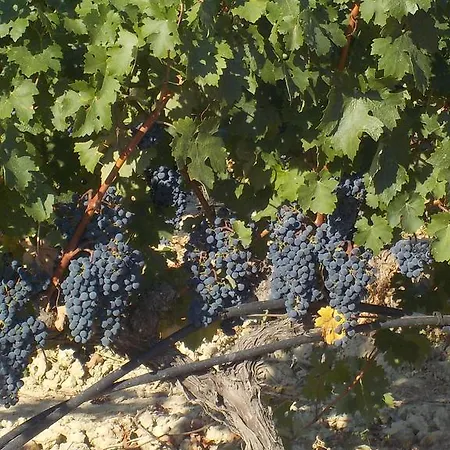 דירה El Lagar De