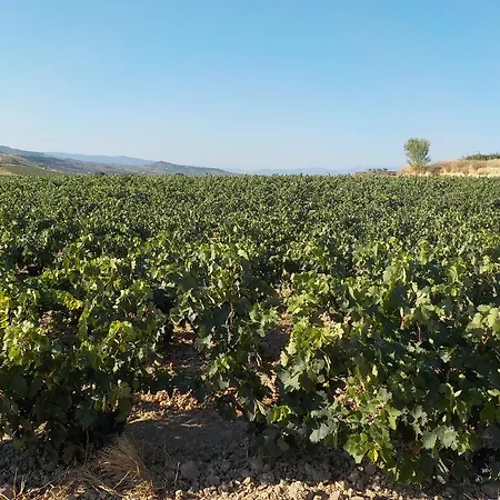 El Lagar De Elciego